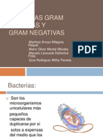 Bacterias Gram Positivas y Gram Negativas SEMINARIO 2010