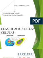 Clasificacion de Las Celulas Integrantes: 1.rider Alain Quiroz 2.javier Villarroel Arebalo 3.charles Jose Panozo Bermudez