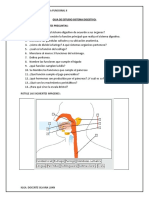 Guia de Estudio Sistema Digestivo