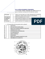 Lee El Apartado 01 de Esta Unidad. Empareja Las Definiciones de Forma Correcta. (Pon El Número Correcto en La Columna Vacía)