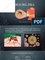 Virus Del Zika