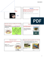 HTH DVCXS - Chuong 5 - Lop Bo Sat (Phan I), Handout