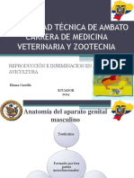 Avicultura 140118231442 Phpapp02