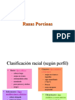 Razas Porcinas