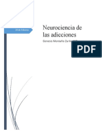 Neurociencia de Las Adicciones