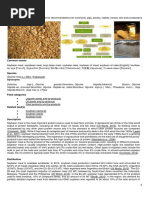 Solvent Extraction Plant Process Flow Diagram: Pre-Cleaning | PDF ...