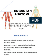 AO1-K6 Pengantar Anatomi