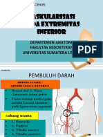 Vaskularisasi Pada Extremitas Inferior: Departemen Anatomi Fakultas Kedokteran Universitas Sumatera Utara