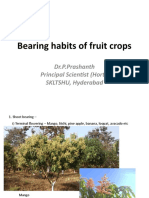 Bearing Habits of Fruit Crops