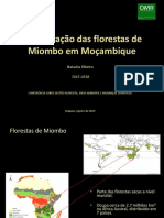 Natasha-Ribeiro-Conservação-das-florestas-de-Miombo-em-Moçambique