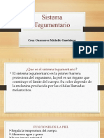 Sistema Tegumentario: Cruz Guarneros Michelle Guadalupe