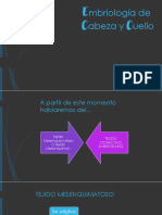 Mbriología de Abeza y Uello