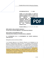 Recomendacion 142-2022 DERECHOS HUMANOS Ambientales 1