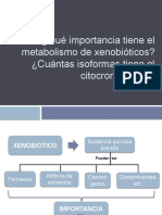 ¿Qué Importancia Tiene El Metabolismo de Xenobióticos? ¿Cuántas Isoformas Tiene El Citocromo P450?