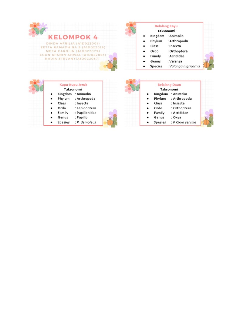 Label Insektarium | PDF | Genus | Insects