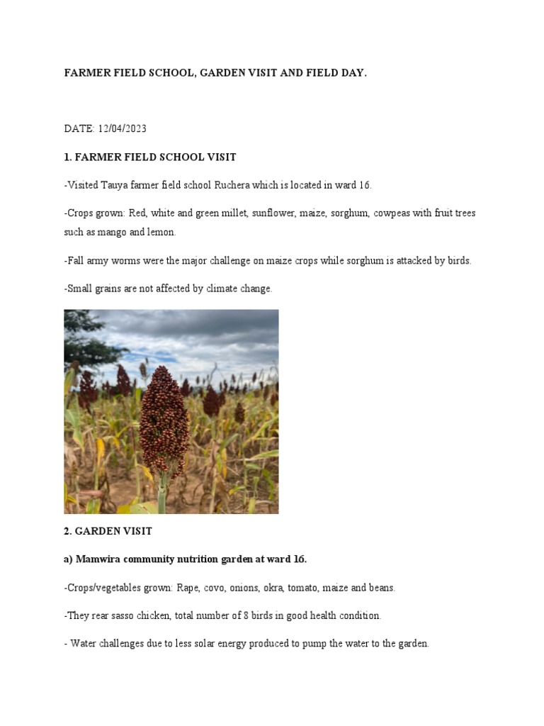 Farmer Field School, Garden Visit and Field Day Report | PDF