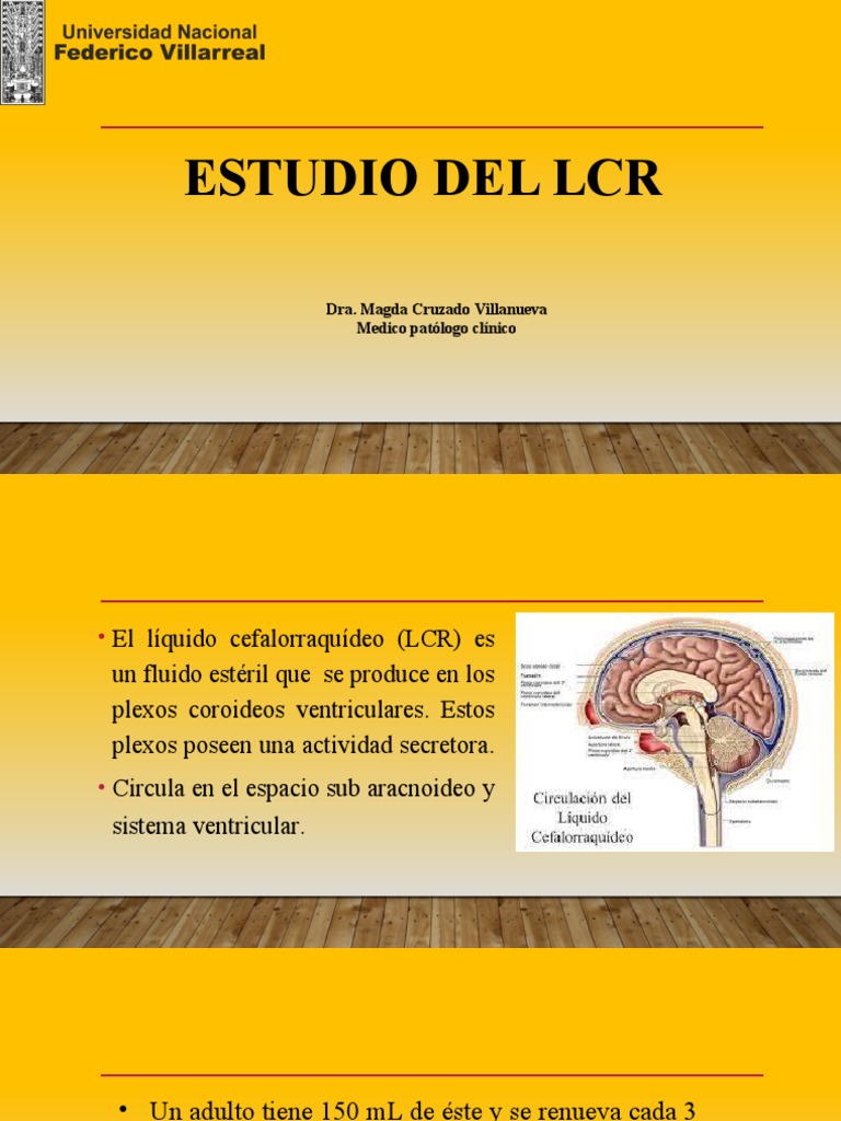Estudio del LCR: Normal y Patológico | PDF | Fluido cerebroespinal ...