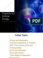 Cellular Enegy CH 4 and 5