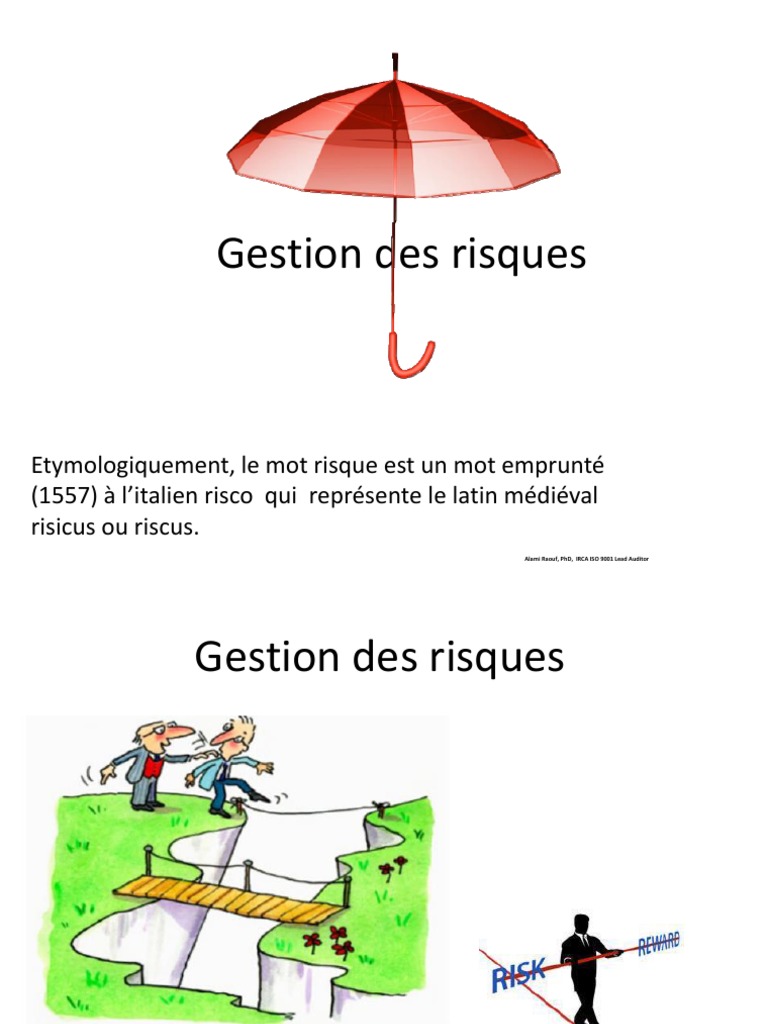 Types et principes de gestion des risques | PDF | Gestion des risques ...