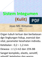 Sistem Integumen: (Kulit)