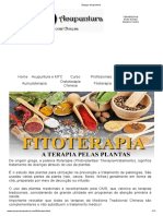 Fitoterapia - A Terapia Pelas Plantas