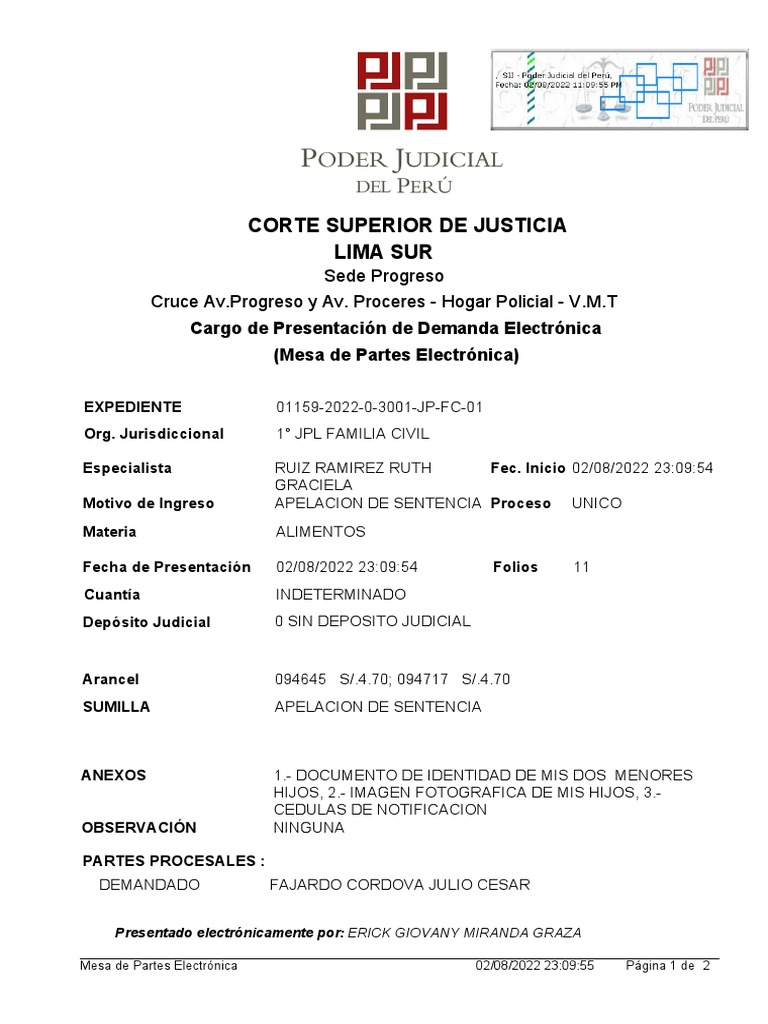 Corte Superior de Justicia Lima Sur: Sede Progreso Cruce Av - Progreso ...