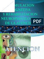 Estimulacion Cognitiva Y Rehabilitacion Neuropsicologica de La Atencion