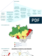 Fluxo prospecção áreas Amazônia para projetos REDD