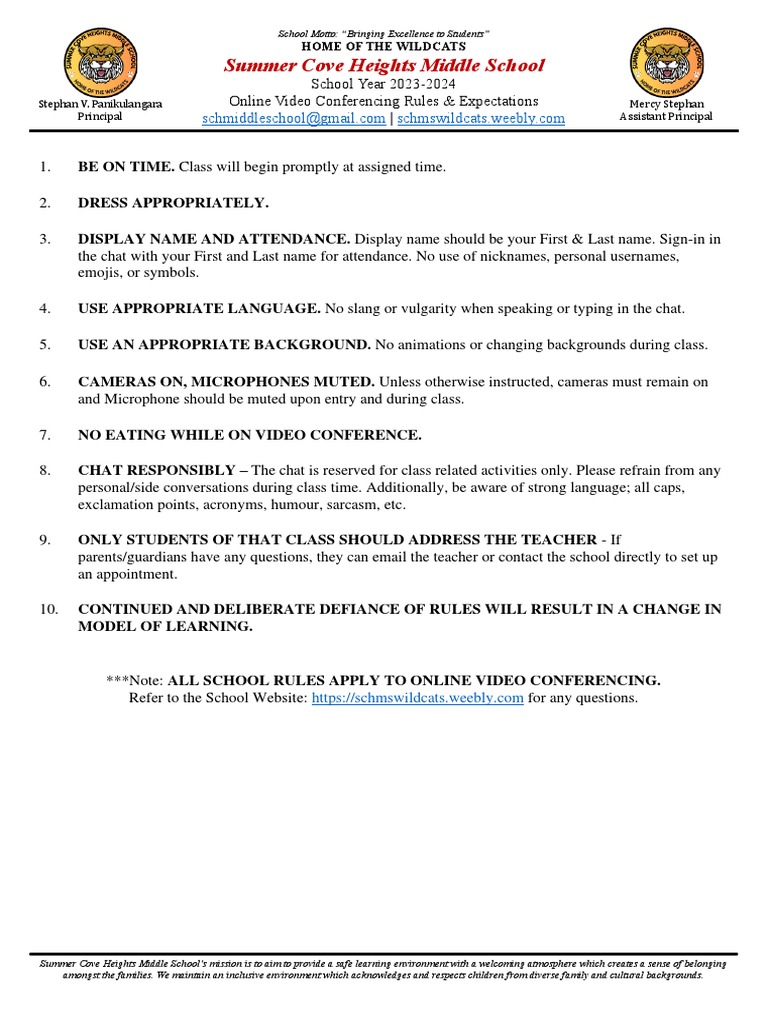 Online Video Conferencing Rules and Expectations PDF