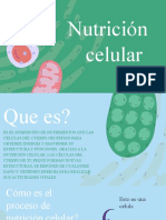 Nutrición Celular