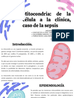 Mitocondria: de La Célula A La Clínica, Caso de La Sepsis