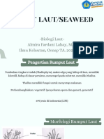 Rumput Laut/Seaweed: - Biologi Laut-Almira Fardani Lahay, M.Si Ilmu Kelautan, Genap TA. 2022/2023