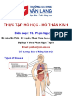 6. Mô thần kinh - Mạch máu