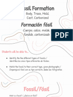 Fossil Formation