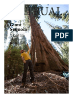 Tree PDF
