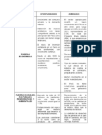 Analisis Externo - Cuadro