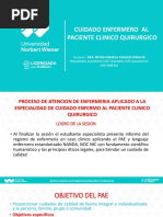 Clase 2 PAE, Especialidad