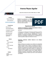 Perfil profesional Aranxa Reyes