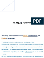 12 Cranial Nerves Explained