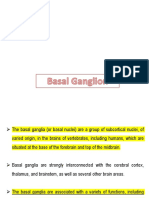 DEI Class - Basal Ganglion, Substantia Nigra, Pallidum