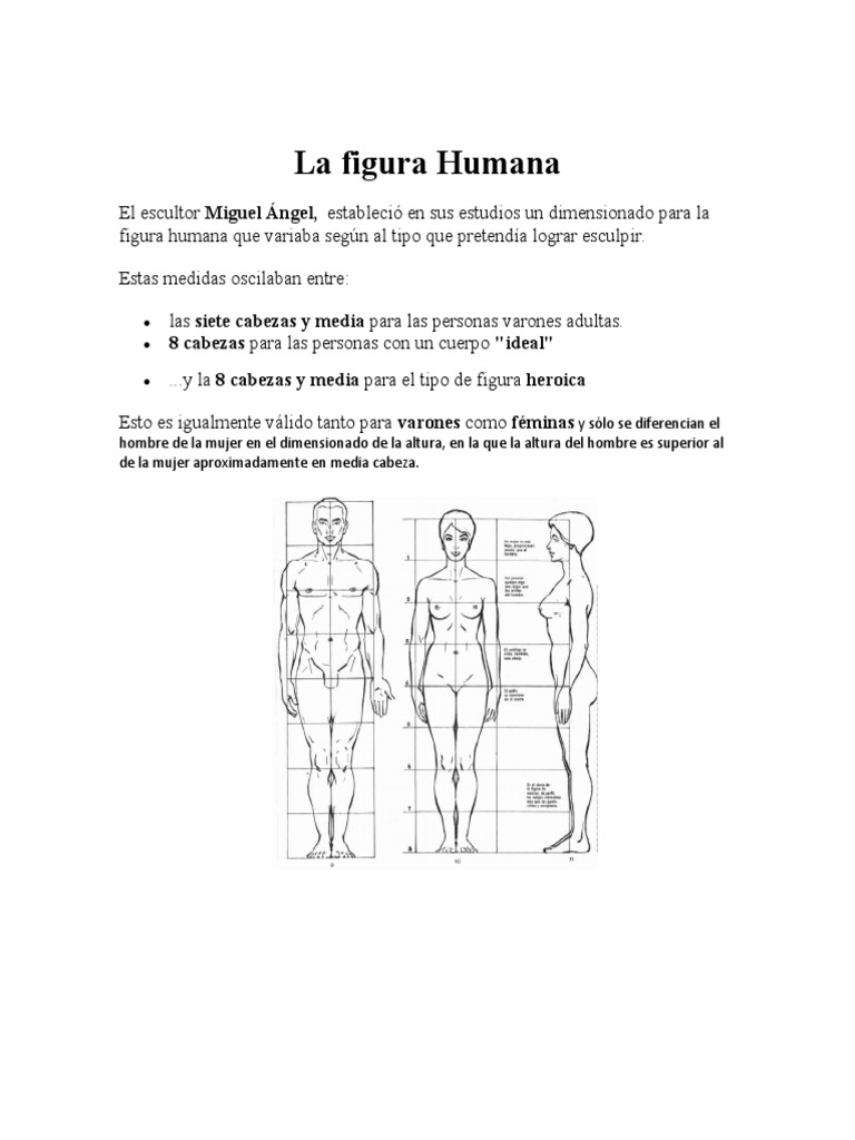 La Figura Humana III | PDF | Mujer