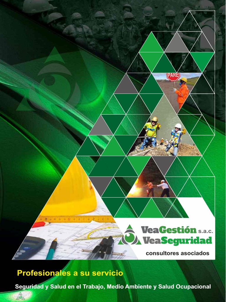 Seguridad y Salud en el Trabajo | PDF | Seguridad y salud ocupacional ...