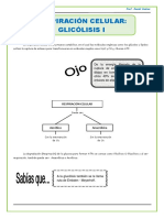 Glucólisis I: Respiración celular anaeróbica