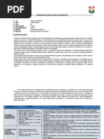 Progr. Anual Comunicación 4°