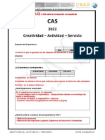 Pautas para Completar El Reporte de La Experiencia Cas