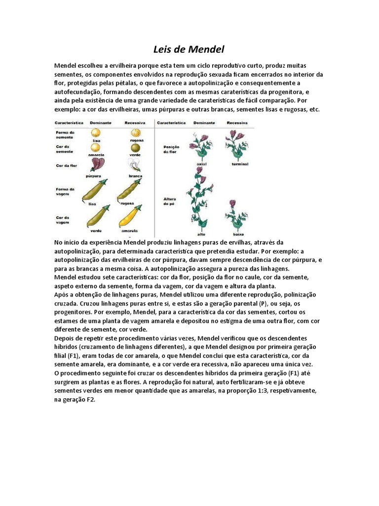 Leis de Mendel | PDF | Zigosidade | Alelo