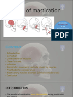 Muscles of Mastication Mine 2