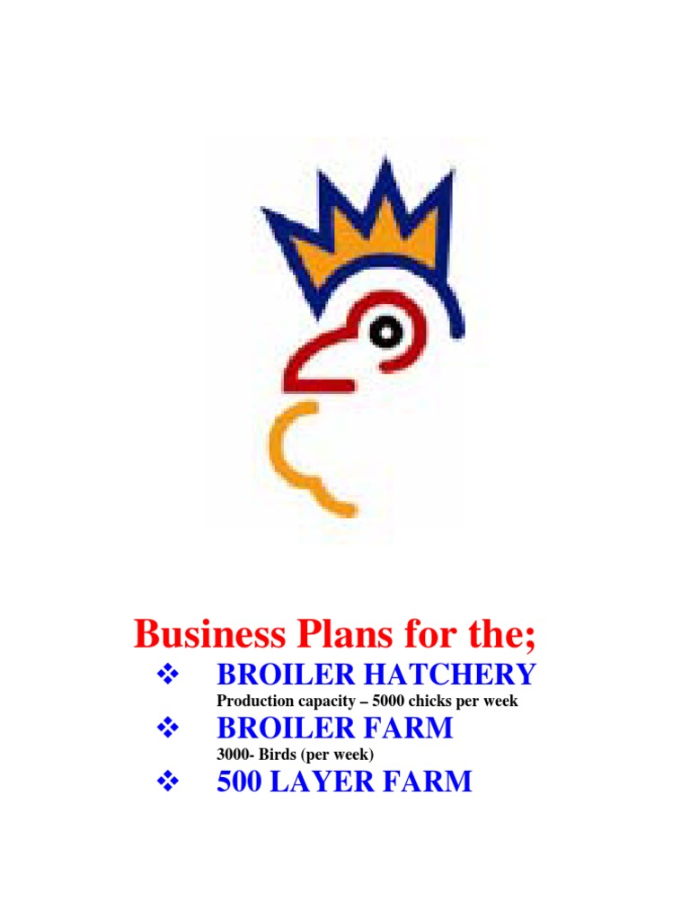 Business Plan Hachery PDF Poultry Farming Broiler