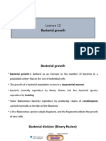 Bacterial Growth