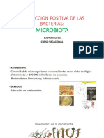 Interaccion Positiva de Las Bacterias:: Microbiota